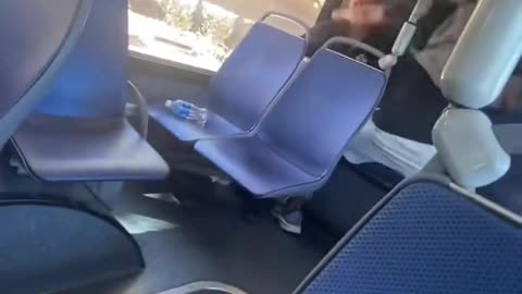 Another day,another negro on White assault on a train.
