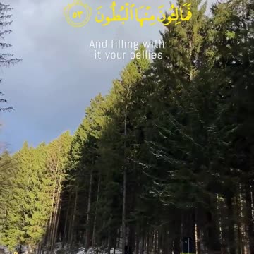 You Will Surely Be Resurrected | Surah Waqi’ah 52–60 | No One Escapes Death