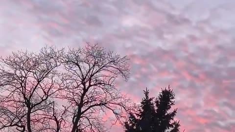 This is a mosque in New York blasting prayers