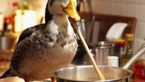 "Pato que cocina su arroz, nunca queda con hambre ni se le pasa el sazón."