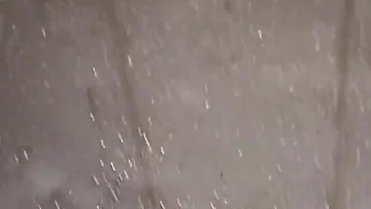 100% Humidity
