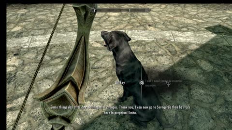 Ruleblivion Ep 28 meeting with Taliesin The Thalmor Elf