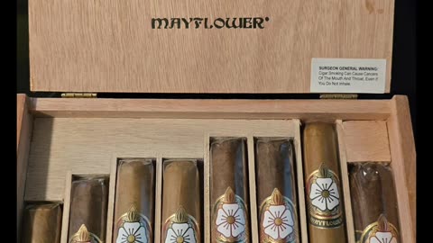 Mayflower Dawn Cigar.