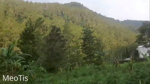 Tawang Mangu Beatifuly