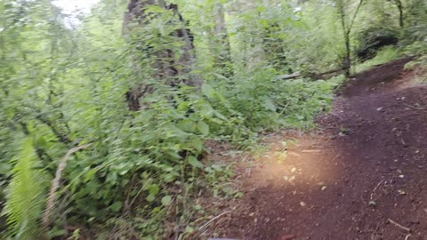 Atc quick ride