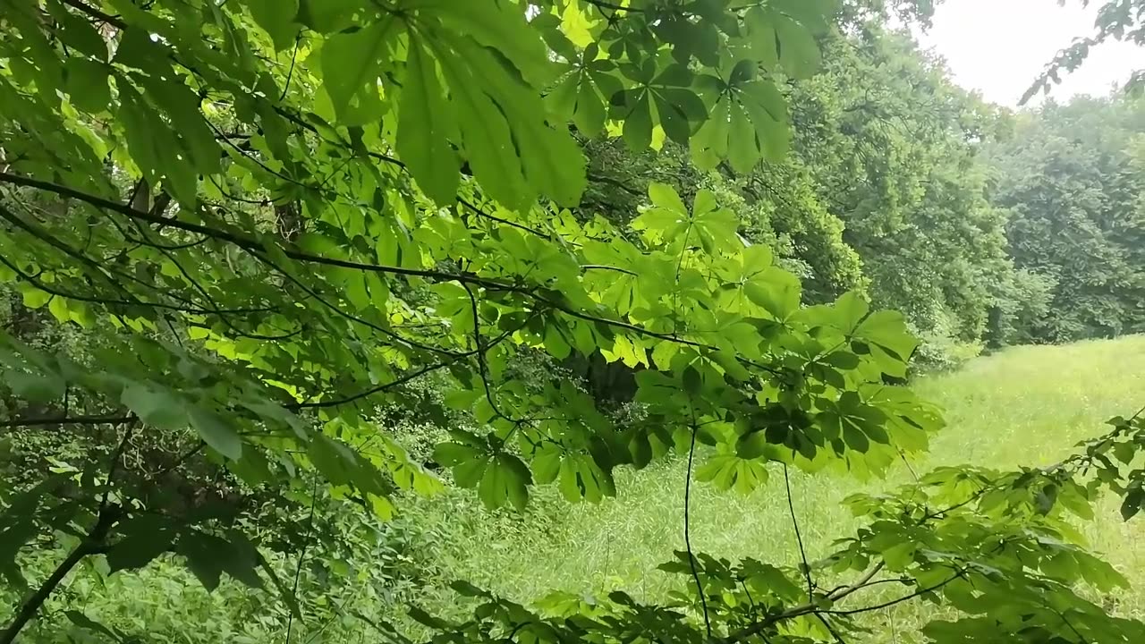 dopasuj się nastrojem ...