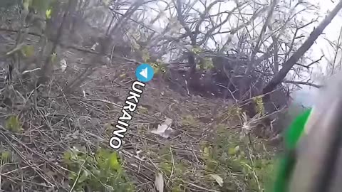 TikTok of the ukropidors didn't go according to plan. Looks like he fucked up his own