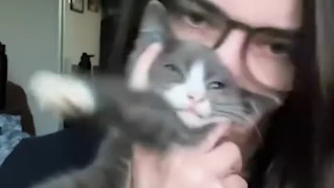 #19 "He Doesn’t Know He’s a Cat – Watch This Attempt to Walk Like a Human!"