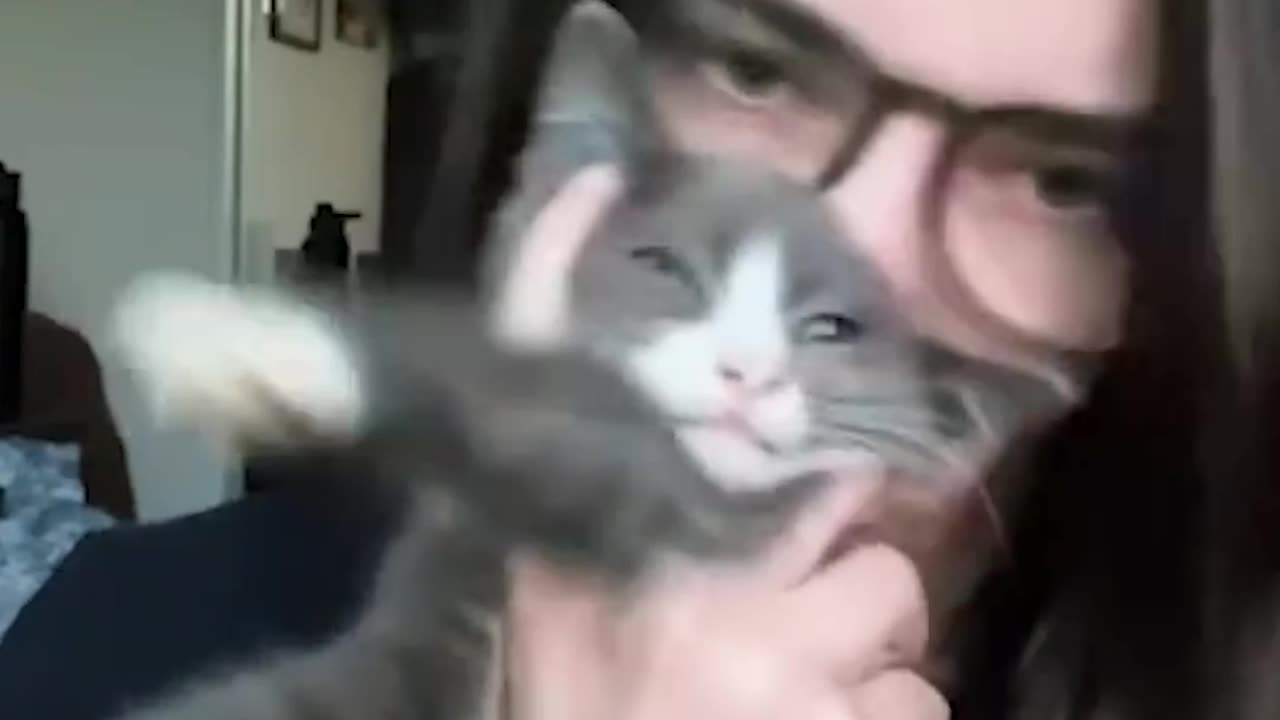 #19 "He Doesn’t Know He’s a Cat – Watch This Attempt to Walk Like a Human!"