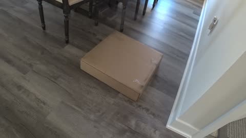 ACCOMPLISHMENTS, A CANCELLATION, AND SOME PREVENTIVE MEASURES