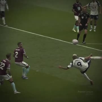 Pombo 🇧🇷🐦 | No Copyright Infringement Intended | #tottenham #hotspurcc #fyp #xyzcba #foryou