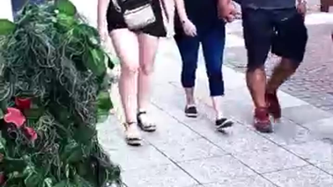 Everyone got Scared! Insane Screams / prank video