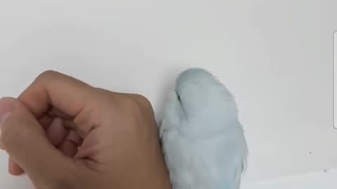 😂 Is it cold in here? Let's stay close to each other! | FunFM