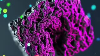 Making activated charcoal