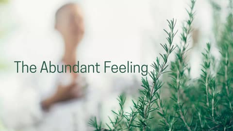 ✨ The Abundant Feeling ~ Jared Rand’s Global Guided Meditation Call 01-15 -2026