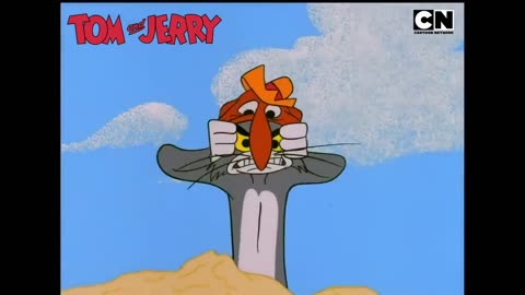 Tom & Jerry 6