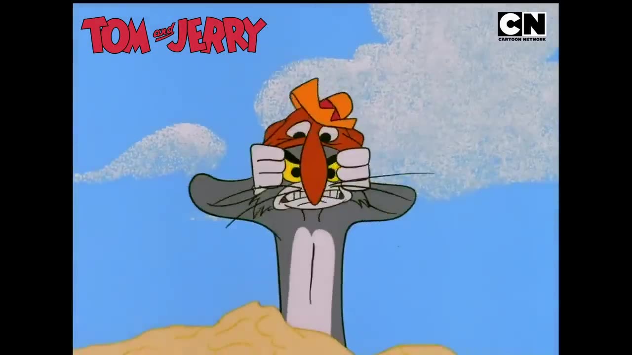 Tom & Jerry 6