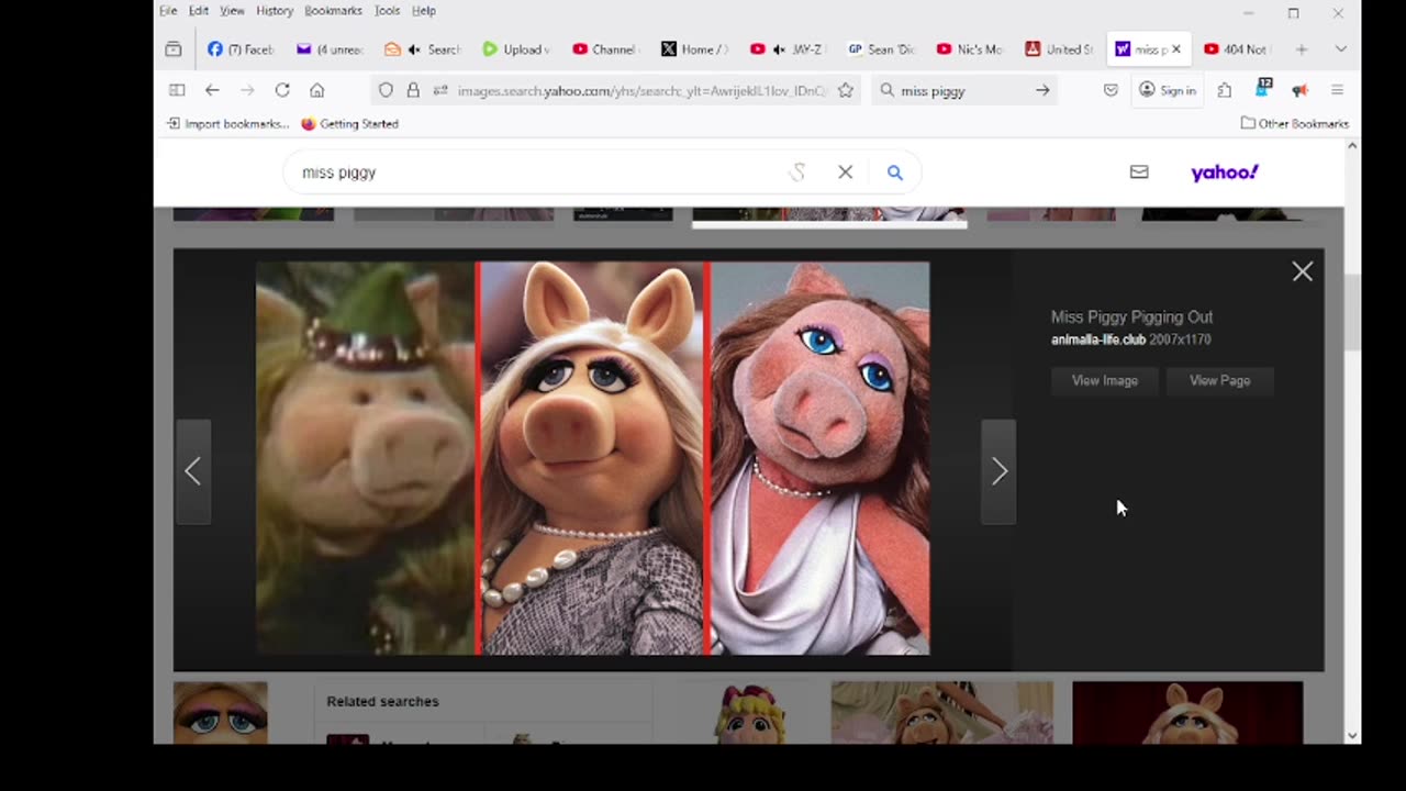 MISS PIGGY 3