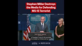 5325 Terry Reports - Stephen Miller Rips the Press a New One.. OK, Maybe Two!