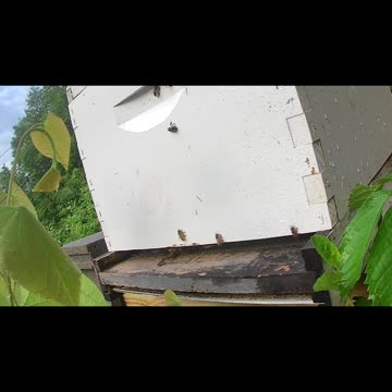 Saturday Morning Sun Up