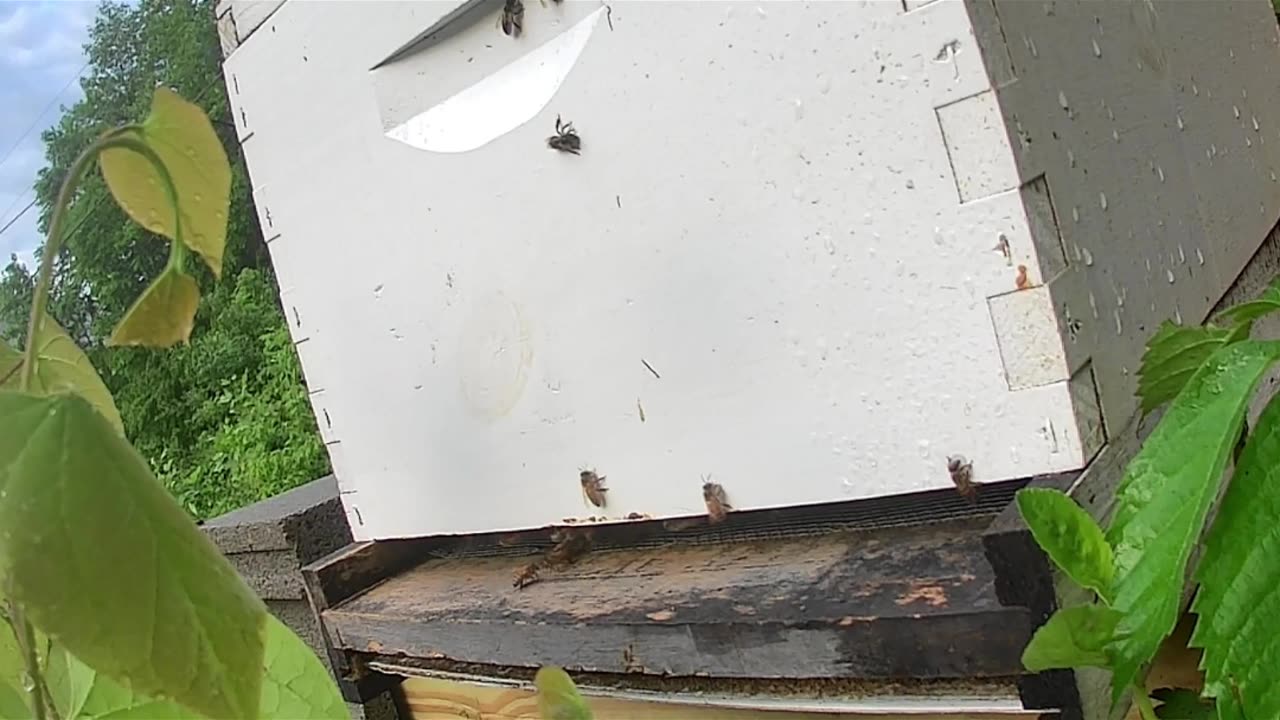 Saturday Morning Sun Up