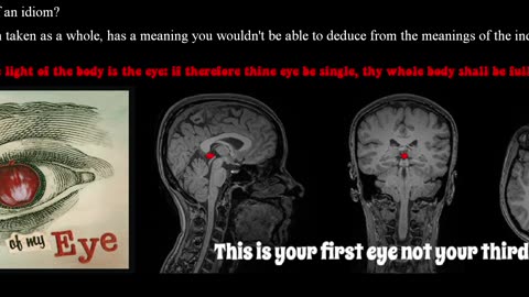 The pineal gland is the apple of the eye