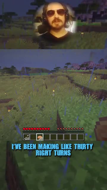 Zolo makes me lose everything