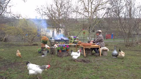 Qvineya Quşu Bişirdik, COOKING THE PERFECT COUNTRY STYLE GUINEA FOWL, Best Camping Recipes