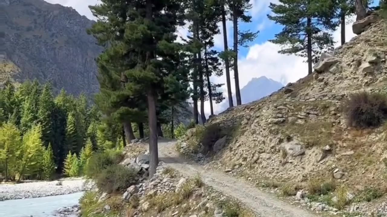Hajj 2k25
