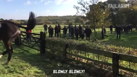 Expectations vs. Reality Fails