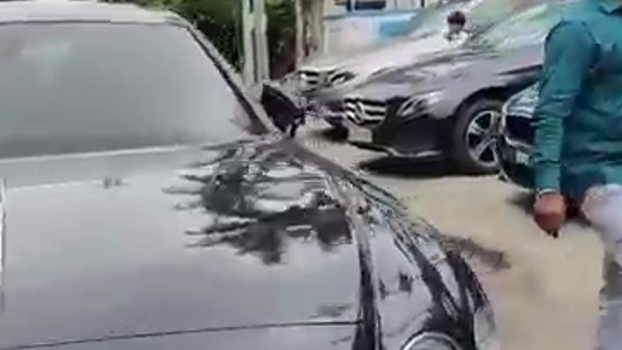 Jaguar sportz