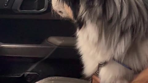 Naughty Aussie Gets Car Interior Cleaned At Car Wash