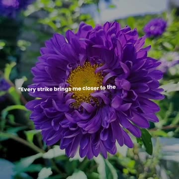 Every strike brings me closer to the next home run.