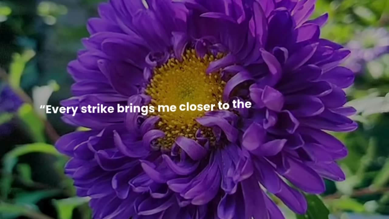 Every strike brings me closer to the next home run.