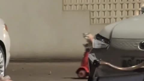 Something drove over ( ⌯''⌯)❓