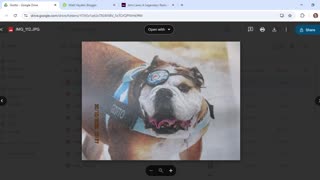 Did the story on a blue dog named Giotto foreshadow the death of the Otto-loving Golden Tonsils?