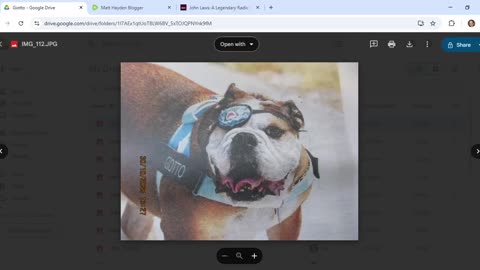 Did the story on a blue dog named Giotto foreshadow the death of the Otto-loving Golden Tonsils?