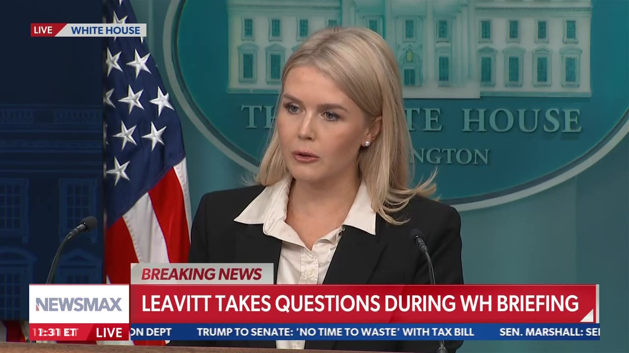 'Ridiculous!' Karoline Leavitt flips out after reporter refutes Trump white refugee claims