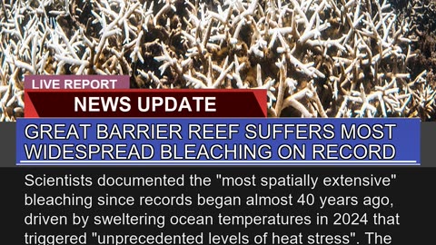 Great Barrier Reef Suffers Most Widespread Bleachi