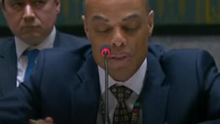 EE.UU. ante la ONU: El presidente Putin debería aceptar el acuerdo