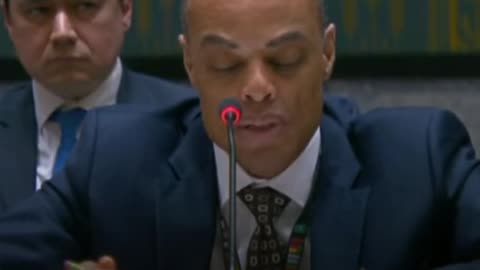EE.UU. ante la ONU: El presidente Putin debería aceptar el acuerdo
