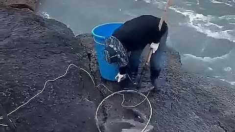 Sea fishing 🎣😳