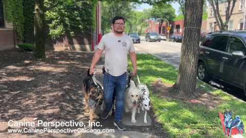 Pressing Thresholds, Corrections, Matching Intensity, Sudden Rage Syndrome? Pack Walk Talks Ep. 1