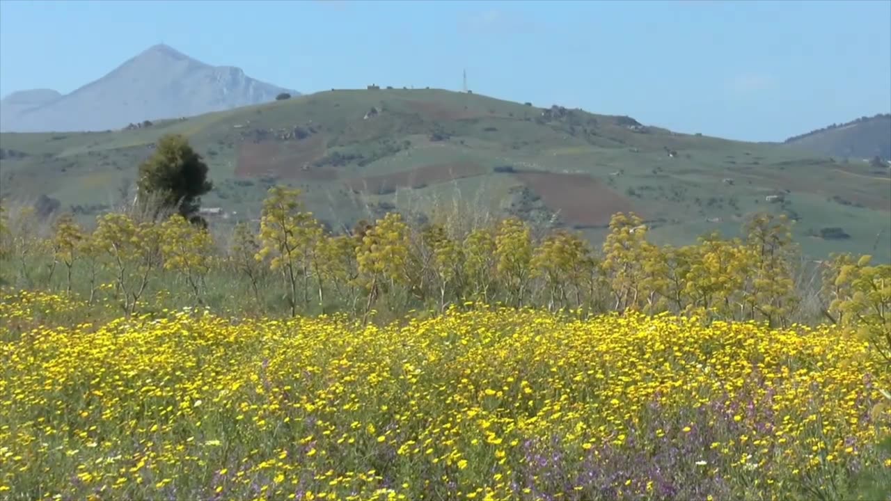 Italia mia Anima
