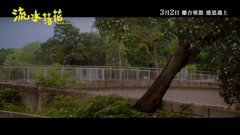 流水落花(2023 film)