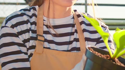 Your "Care" IS Your Superpower: How to Direct Your Inner Energy & Attention