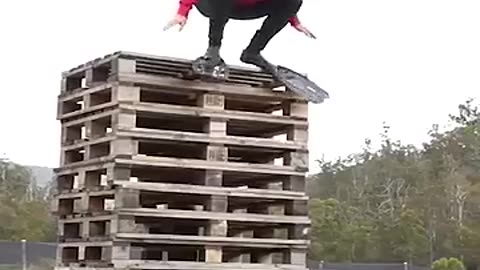 If animals do parkour