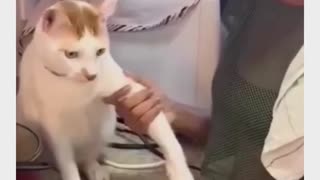 😂👀 You Won't Believe What Happened To This Food! | FunFM