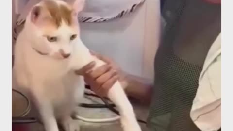 😂👀 You Won't Believe What Happened To This Food! | FunFM