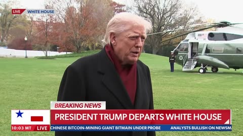 POTUS: "MTG couldn’t have survived a primary without my support"